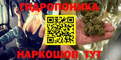 эйфоретик Бугуруслан