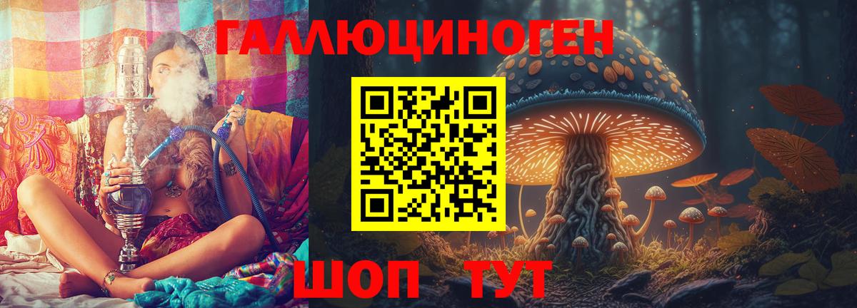 Псилоцибиновые грибы MAGIC MUSHROOMS  Вход с VPN  Псилоцибиновые грибы MAGIC MUSHROOMS  Краснодар 
